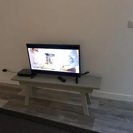 Good Night Lis Lizbona