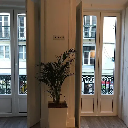 Good Night Lis * Lizbona